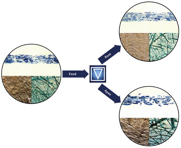 Fractionation for blog SM